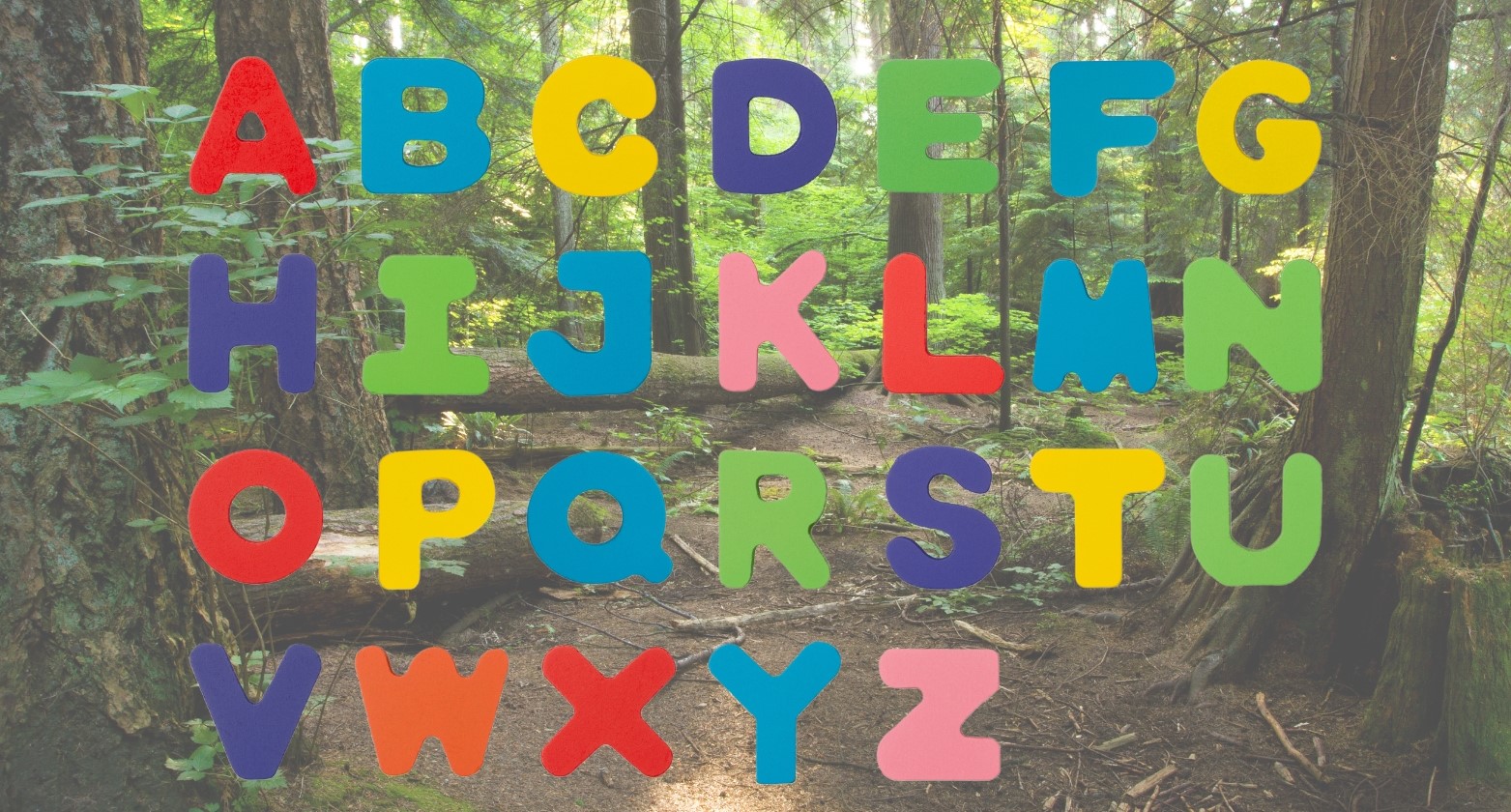 Alfabet spel in het bos
