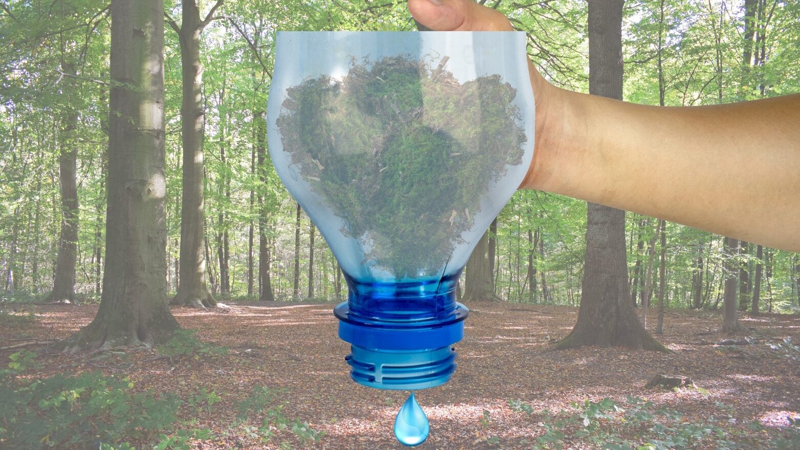 eigen waterfilter maken in bos 