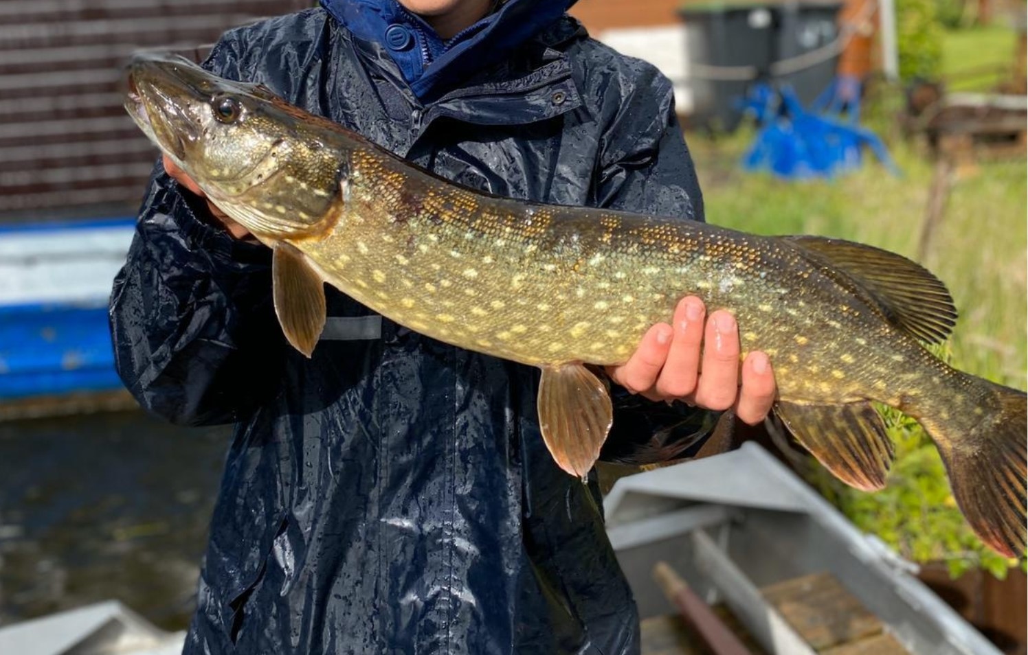 Snoek vissen voor beginners