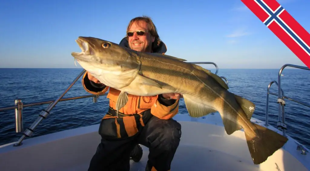 Vissen In Fjorden Noorwegen Tips, Vergunning & Boetes